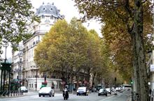 Les Feuilles mortes (Autumn Leaves) Les Feuilles mortes (Autumn Leaves)