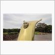 公園にもアヤシげなものが（笑