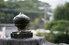 七五三　と　サヨナラノツバサ
