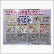 静寂の裏丹沢から神奈川最高峰 ...