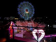 休日出勤、そして生憎の天気でしたけど…。