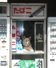 高額納税者…