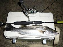 魚釣り