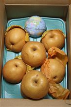 秋田のむっちーからお届けモノ