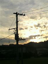 ☀ました。