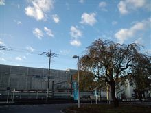 定点観測11/12(土)