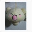 きねこ