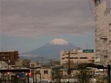 今朝は・・・