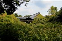 お目当ての苔が見れないなんて…【東福寺】