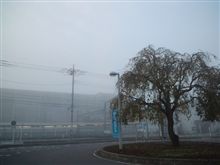 定点観測11/13(日)