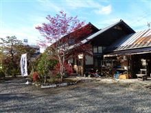 今シーズン初の新そば 今シーズン初の新そば