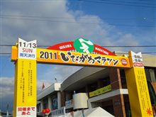 今年も走った