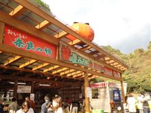 奈良の名産『柿』を五條市まで買いに行ってきました！