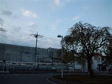 定点観測11/15(火)