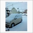 降ったね。
