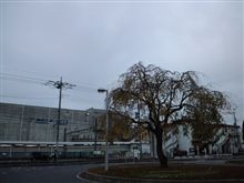 定点観測11/18(金)
