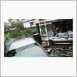 今日も雨です、雨が降ると？？