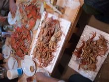 昨日の宴q(^-^q)