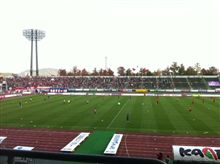 今日も観戦