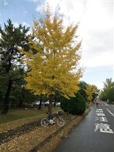 バイクロア（自転車イベント）へ行きました。