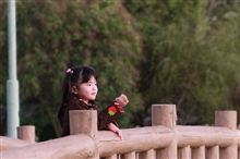 秋を探してリベンジ
