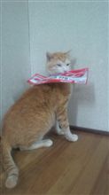 またぁ～&#176;・(ノД`)・&#176;・