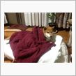 力丸、寒さに弱い