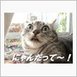 気が付けば…