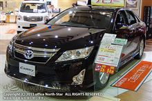 視野に入ってきたハイブリッド 視野に入ってきたハイブリッド