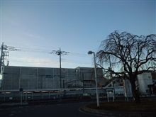 定点観測11/26(土)