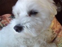 11/26(土)ナイトオフする？