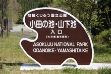 今から、、「やまなみカフェ」に上がります、