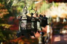 奈良の紅葉名所 談山神社と長谷寺 撮影記 奈良の紅葉名所 談山神社と長谷寺 撮影記