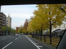 京都の紅葉