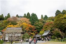 紅葉狩り