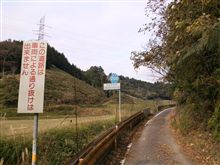 散々な日