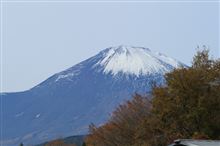 20111127TGRF