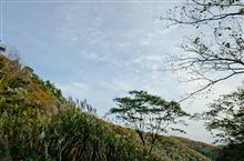 刈安山