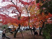 京都嵐山方面の周辺情報11/30