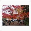 京都嵐山方面の周辺情報11/30