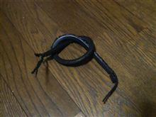 お取替えその後Part 2 お取替えその後Part 2