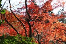 晩秋の箱根へwith355~後編:art、そして故障(汗~ 晩秋の箱根へwith355~後編:art、そして故障(汗~