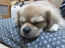 なんとなく……