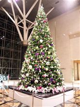 会社のクリスマスツリー