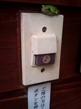12月なんですよねぇ・・・ 12月なんですよねぇ・・・