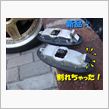 注目の的