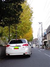 冬なのか秋なのか・・・・・( 一一)