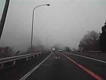 プチ・ドライブ