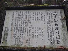 ちょっと休憩。