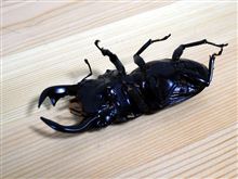 なんてこった.....(T_T)